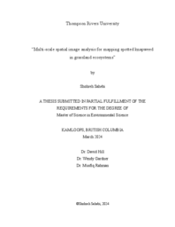 “Multi-scale spatial image analysis for mapping spotted knapweed  in grassland ecosystems”