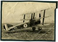 Sopwich Triplane