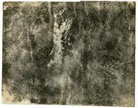 Shelled landscape