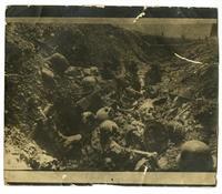 Skulls in trench