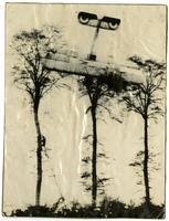 Plane in tree