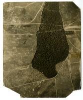 Trones Wood, before the "straffe" in July & August 1916