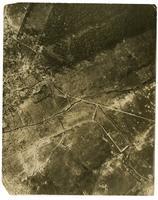 Fricourt Wood