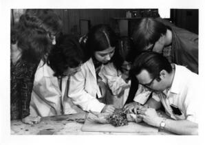 Animal Dissection