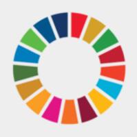 UN Sustainable Development Goals Open Pedagogy Faculty Fellowship