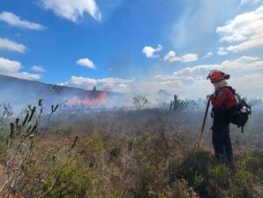 Wildfire Science
