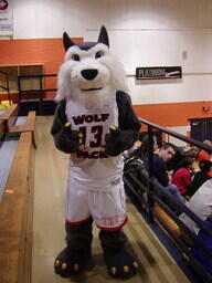 Wolfie