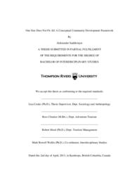 One size does not fit all: A conceptual community development framework