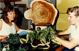 Students studying plant material
