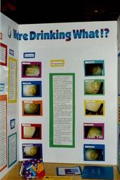 Science fair '99: We're drinking what?