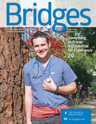Bridges Fall 2014