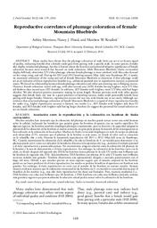 Reproductive correlates of plumage coloration of female Mountain Bluebirds