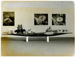 The Underwater pinhole photography project