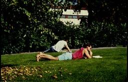 Students studying on campus