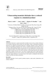 Urban-nesting mountain chickadees have a reduced response to a simulated predator