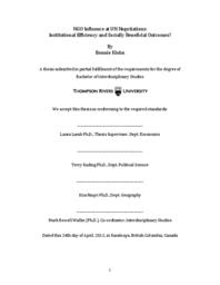 NGO influence at UN negotiations: Institutional efficiency and socially beneficial outcomes?