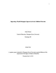Supporting a playful pedagogical approach in early childhood education