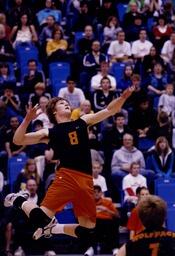 Volleyball Action Shot