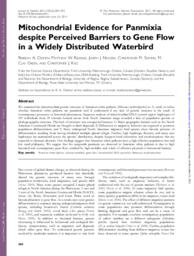 Mitochondrial evidence for Panmixia despite perceived barriers to gene flow in a widely distributed waterbird