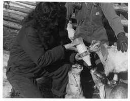Feeding time: Animal Health Technology