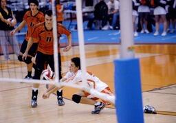 Volleyball Action Shot