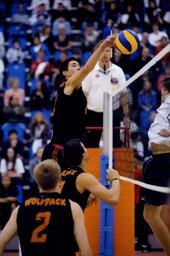 Volleyball Action Shot