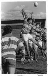 Varsity rugby