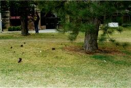 Invasion of the bottle snatchers