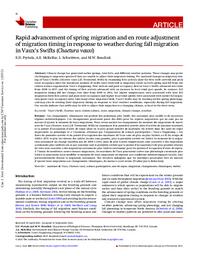 Rapid advancement of spring migration and en route adjustment of migration timing in response to weather during fall migration in Vaux's Swifts (Chaetura vauxi)