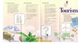 Tourism: Programs for the tourism professional
