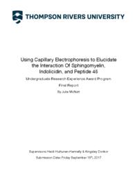 Using capillary electrophoresis to elucidate the interaction of sphingomyelin, indolicidin, and peptide 45