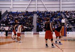 Volleyball Players on Court