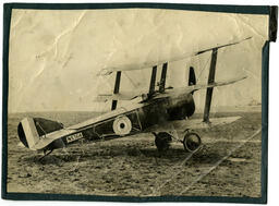 Sopwich Triplane: Front