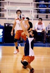Volleyball Action Shot