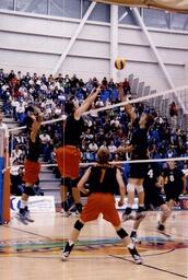 Volleyball Action Shot