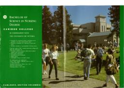 Bachelor of science in nursing degree