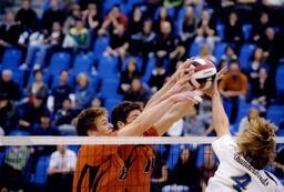 Volleyball Action Shot