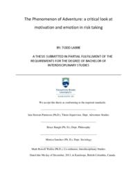 The Phenomenon of adventure: A critical look at motivation and emotion in risk taking
