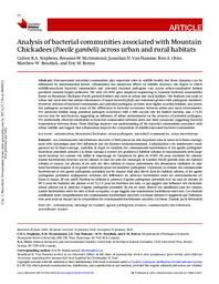 Analysis of bacterial communities associated with Mountain Chickadees (Poecile gambeli) across urban and rural habitats