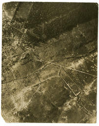   Fricourt Wood   : Front