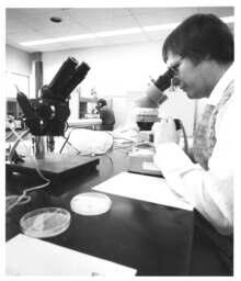 Microscopic work