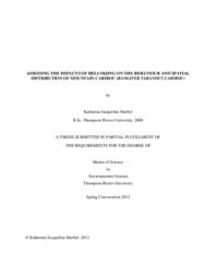 Assessing the impacts of heli-skiing on the behaviour and spatial distribution of Mountain Cariboo (Rangifer tarandus caribou)