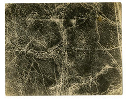   Tracks of men made in the mud of the Somme   : Front