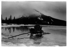 The sled