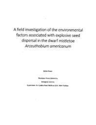 A field investigation of the environmental factors associated with explosive seed dispersal in the dwarf mistletoe Arceuthobium Americanum