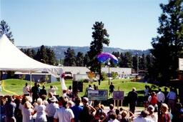 Skydiver coming in for a landing at Homecoming 1995